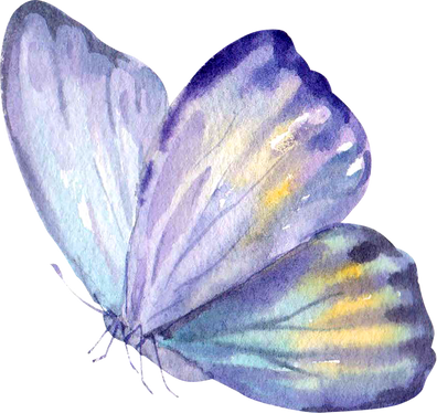 Hand Painted Watercolor Painting of a Purple Fantasy Butterfly Clipart Png